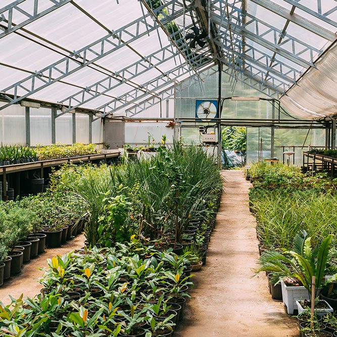 Greenhouse Monitoring and Control